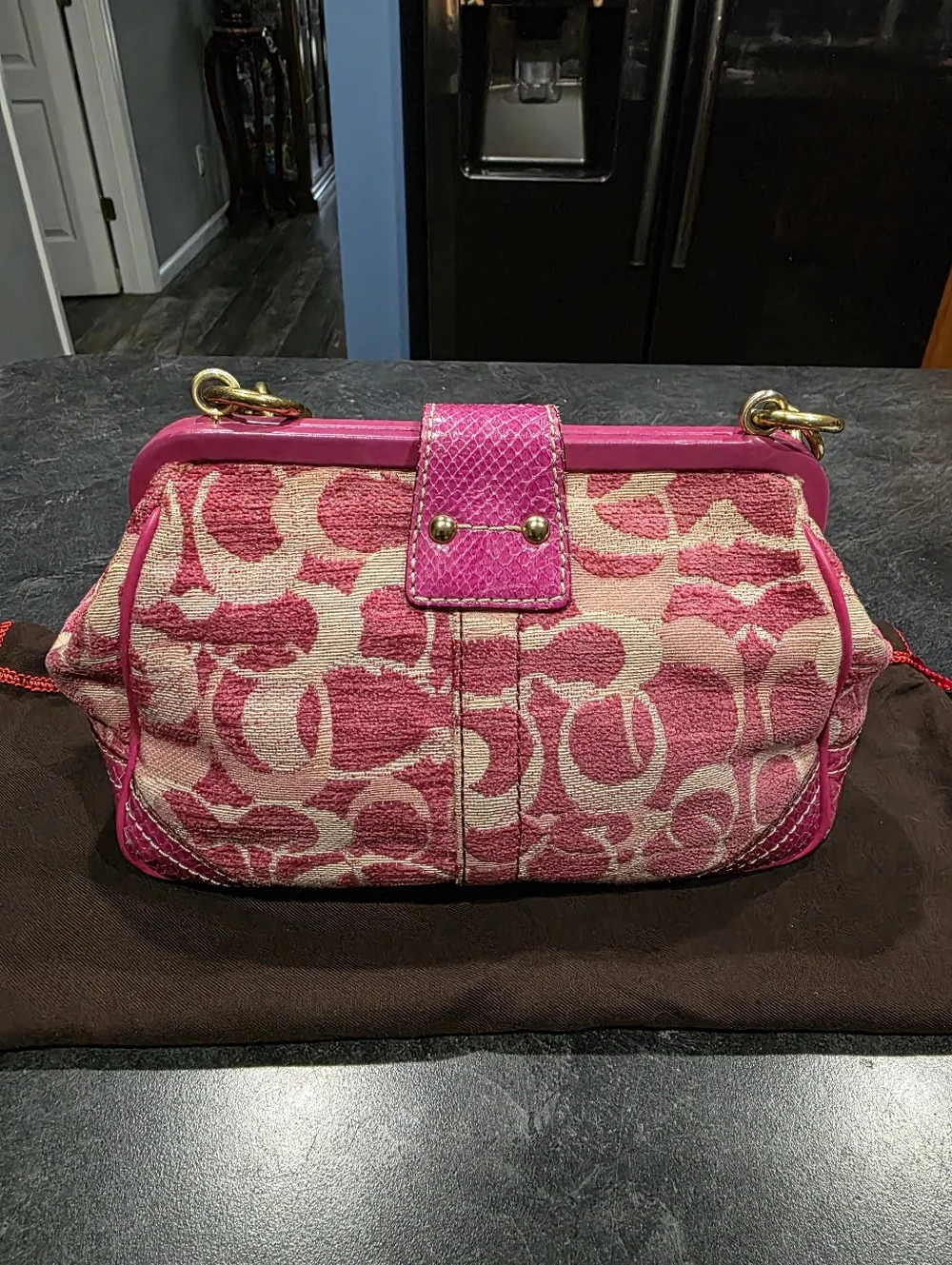 Vintage Coach Purse